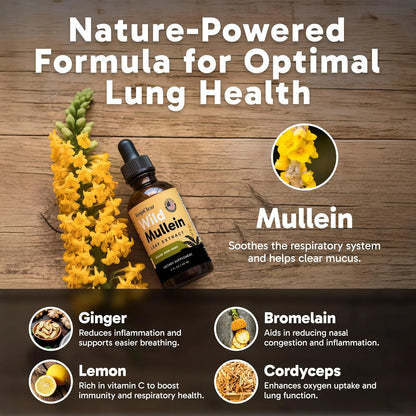 Aurielle Wild Mullein Drops