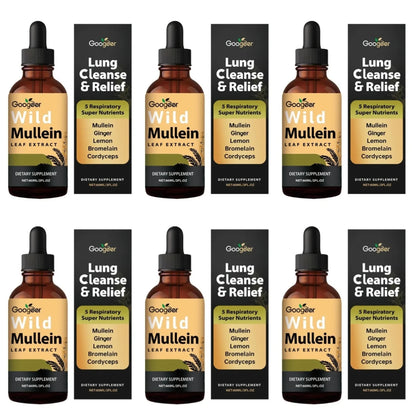 Mullein Leaf Extract Liquid Drops Comprehensive Herbal Wellness Support Natural Daily Dietary Supplement Daily Care 60ml
