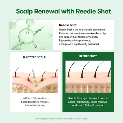 [VT COSMETICS] #1 Viral PDRN Reedle Shot Hair Brush Serum with Original Liquid Microneedling & PDRN | Large-Capacity Full Scalp Care, Hair Thickening, Fuller-Looking Hair & Daily Root Care | Hairline, Roots, Baby Hair & Dry Scalp | Korean Haircare